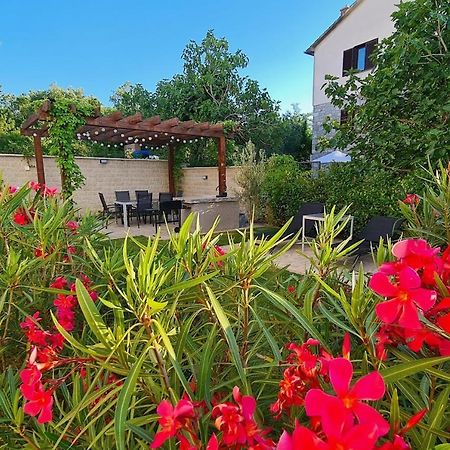 Vila Primorka Apartmani Oleander 실로 외부 사진