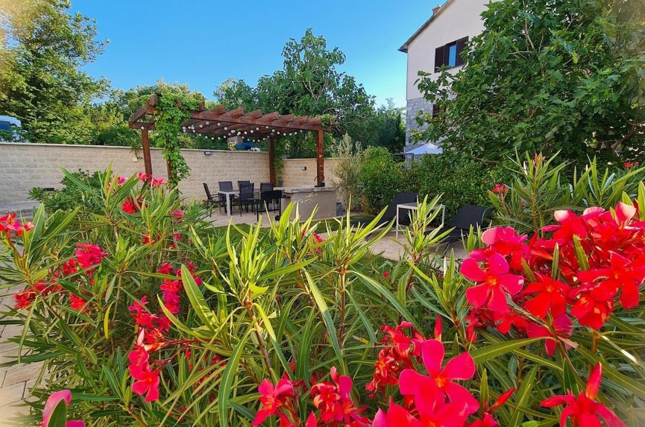 Vila Primorka Apartmani Oleander 실로 외부 사진